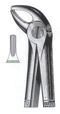 Upper Incisors & Canines DC-050-004