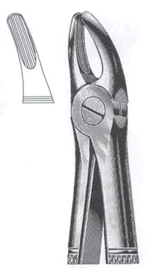 Upper Primolars DC-050-005