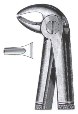 Lower Primolars DC-050-007