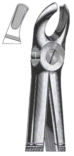 Left Upper Molars DC-050-009