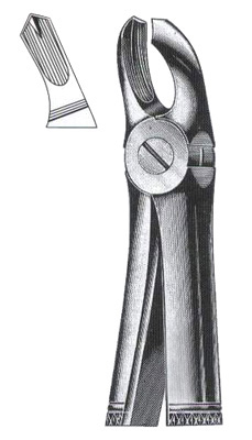 Upper Molars DC-050-010