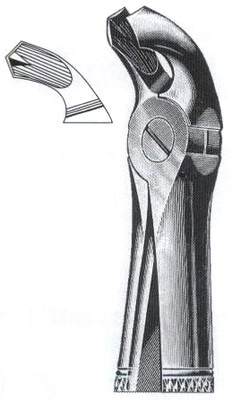 Lower Wisdoms DC-050-013