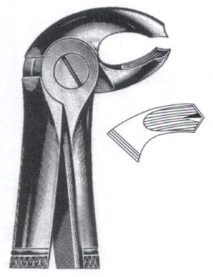 Right Lower Molars DC-050-015