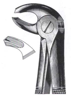 Left Lower Molars DC-050-016