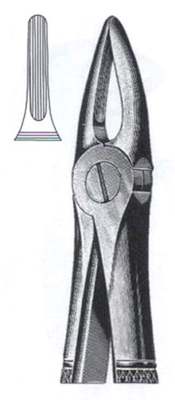 Upper Roots & Incisors DC-050-017