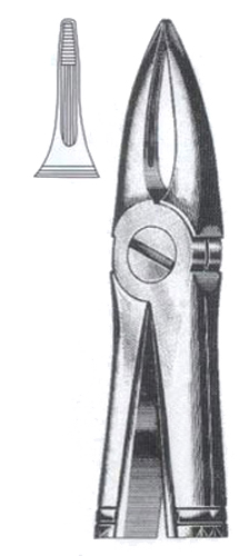 Upper Roots incisors DC-050-018