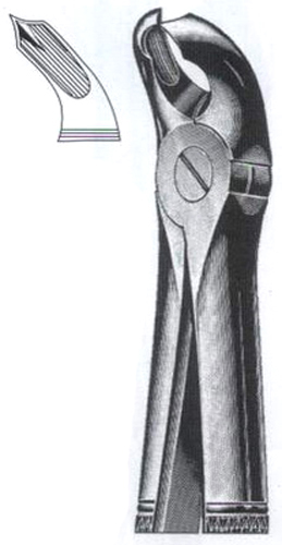 Lower Molars DC-050-021