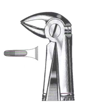 Lower Roots DC-050-024