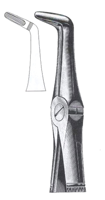 Lower Roots DC-050-028