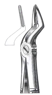 Upper Roots DC-050-031