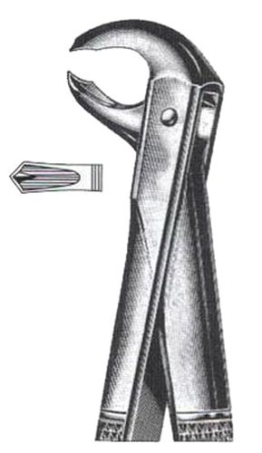Lower Molars (Hawks Bill) DC-050-039