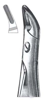 Upper Roots DC-050-044