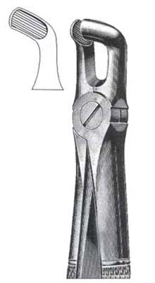 Lower Wisdoms  DC-050-047