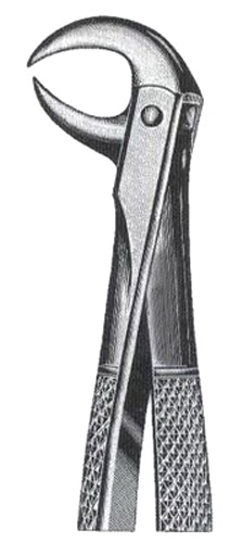 Lower Molars DC-050-048