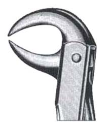 Lower Molars DC-050-049