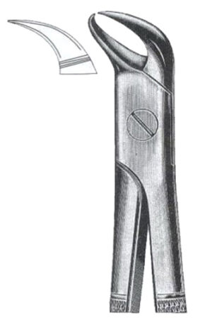 Cowhorn Beak DC-050-051