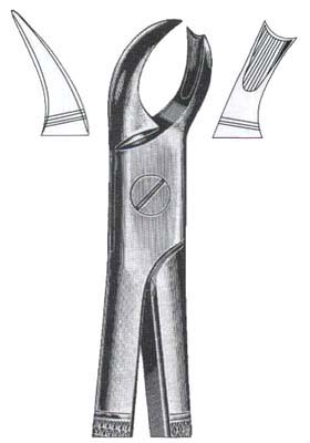 Right Upper Molars DC-050-052