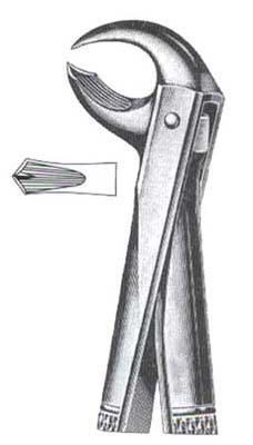 Lower Molars (Broken-Down) DC-050-056