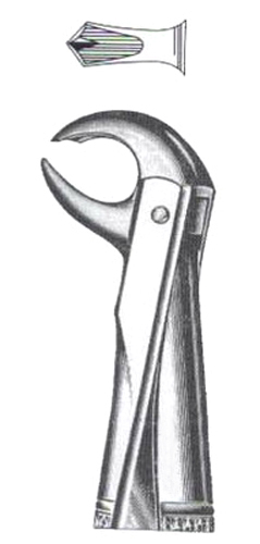 Lower Molars (Broken-Down) DC-050-057