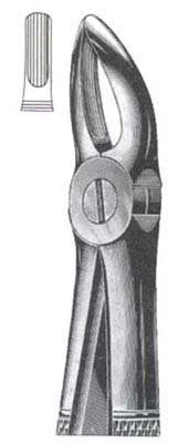 Upper Centrals & Roots DC-050-059