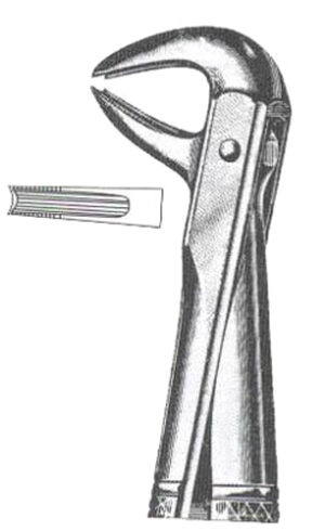 Lowewr Canines & Premolars DC-050-063