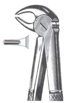 Lower Incisors, Premolars & Roots DC-050-068