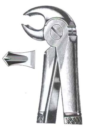 Lower Molars DC-050-069