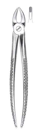 Childrens Upper Incisors Canines DC-050-076