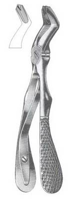 Upper molars DC-050-085