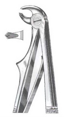 Lower Molars DC-050-087