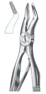 Upper roots DC-050-091