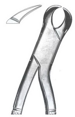 Lower molars (cow horn beak) DC-050-099