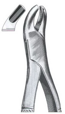 Upper molars left side DC-050-101