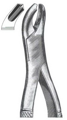 Upper molars right side DC-050-102