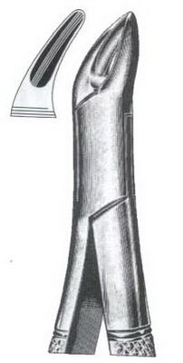 Tooth Extracting Forceps American Pattern DC-050-116