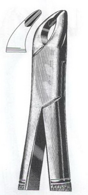 Lower premolars incisors & roots DC-050-118