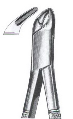 Lower premolars incisors & roots DC-050-119